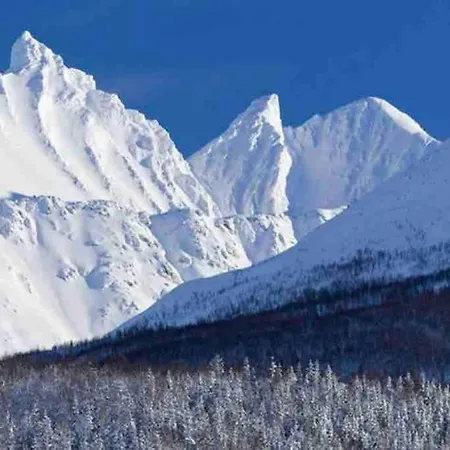 Brand New * Ramfjordbotn